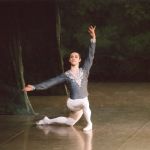 白鳥のパドトロワ