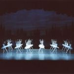 湖のほとりの白鳥たち