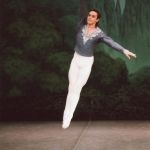 白鳥のパドトロワ