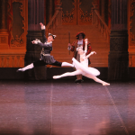 黒い猫と白い猫