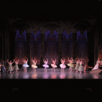 館に勢ぞろいしたパドシス