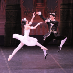 白い猫と黒い猫