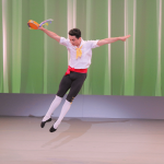 タランテラのPDD