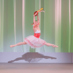 タランテラのPDD