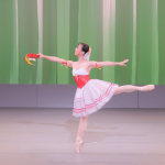 タランテラのPDD