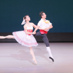 タランテラのPDD