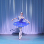 ライモンダのGPDD