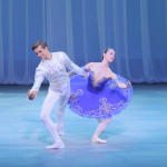 ライモンダのGPDD