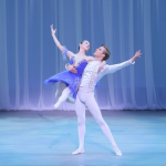 ライモンダのGPDD